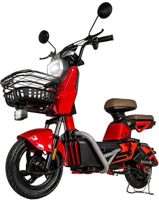 Bicicleta eléctrica rodada 10