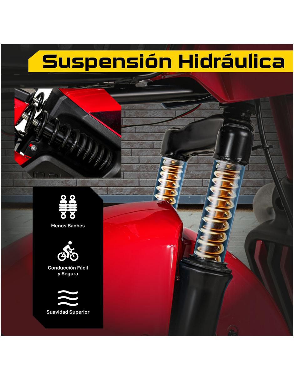 Bicicleta eléctrica rodada 10 5