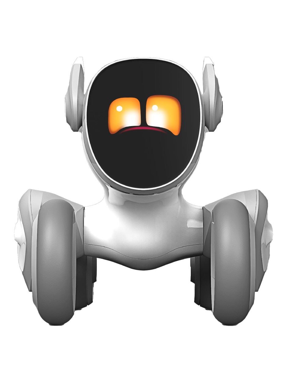 Perro robot de 13