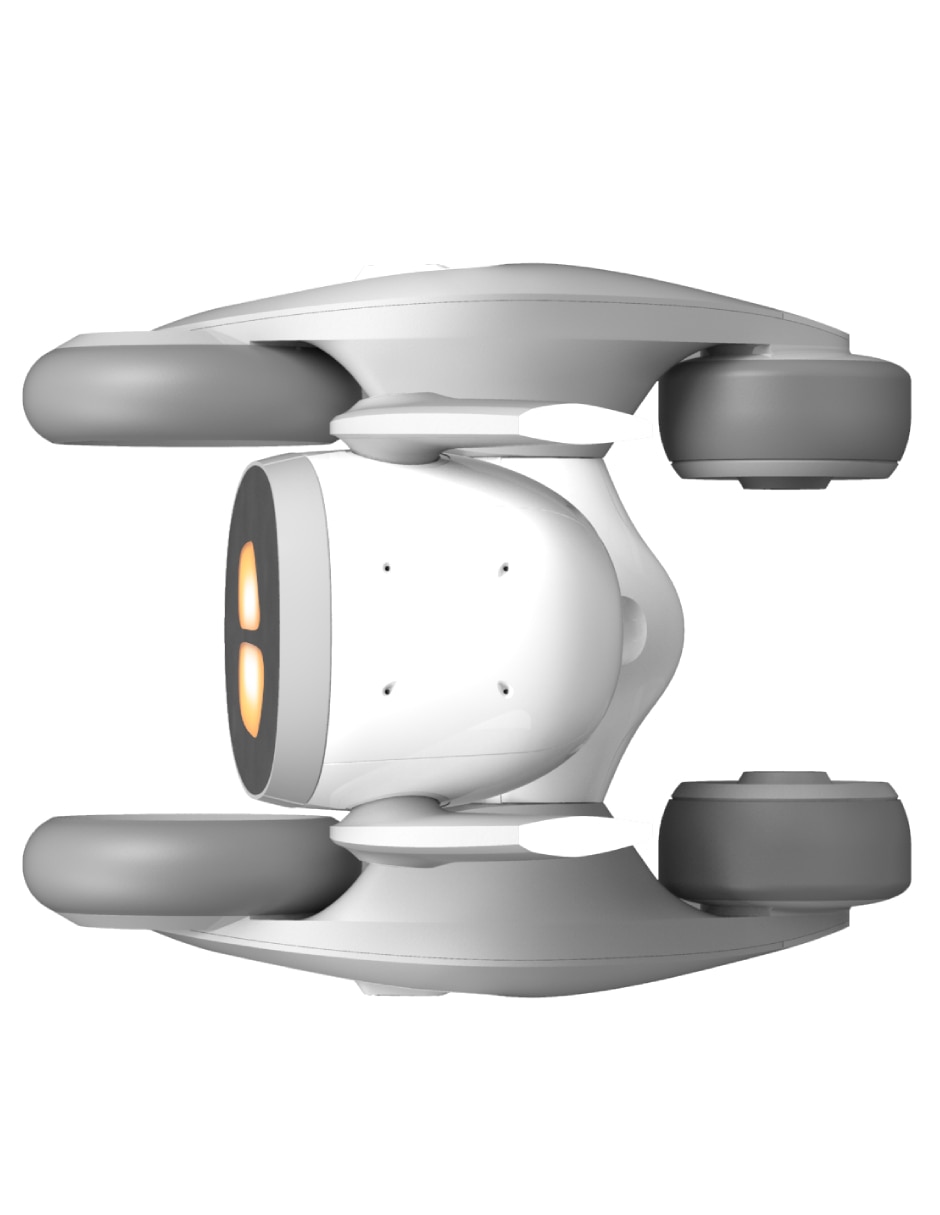 Perro robot de 6