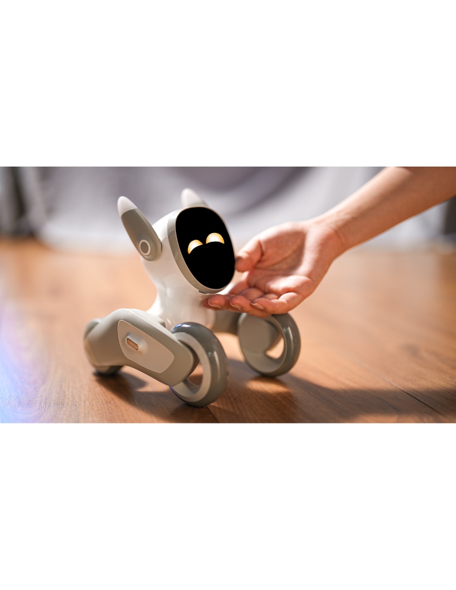 Perro robot de 8