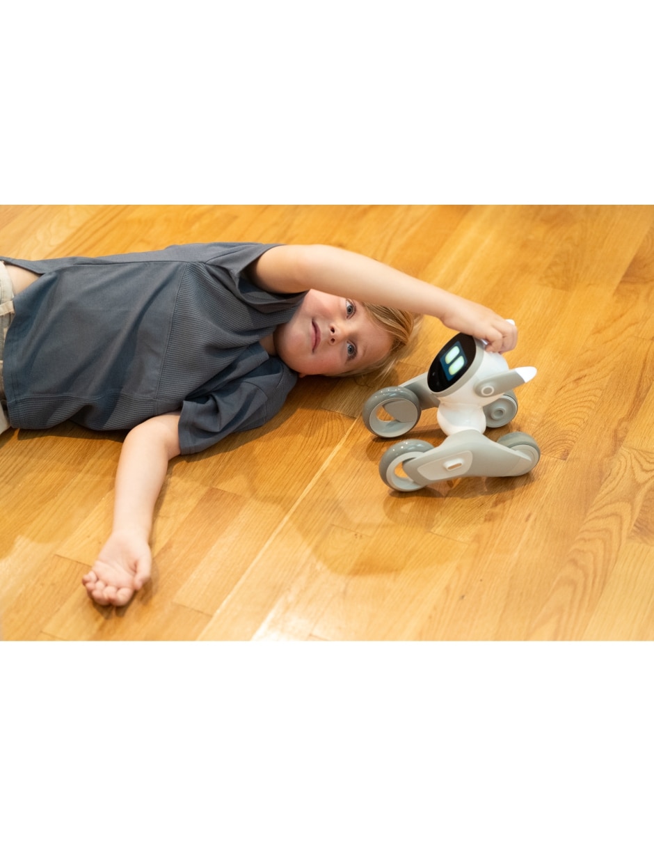 Perro robot de 9