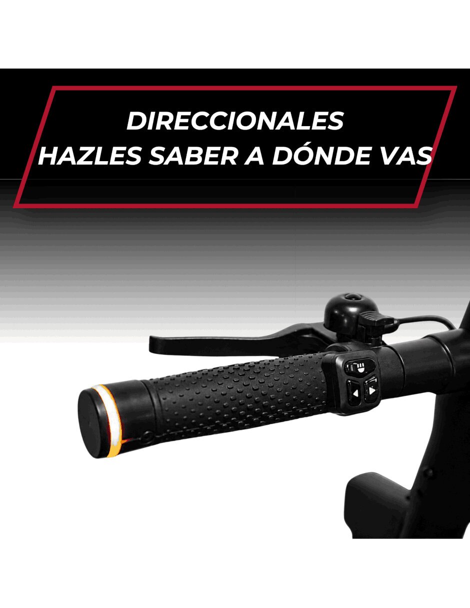 Scooter eléctrico SC-A106 4